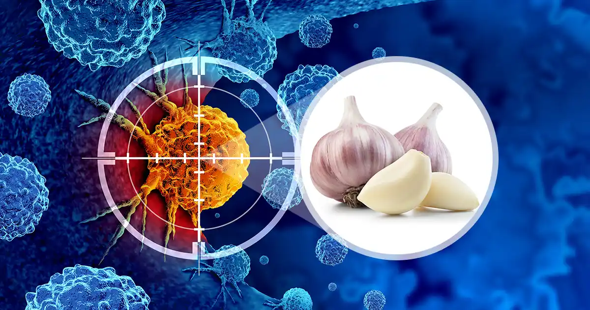 Propriedades anticancerígenas do alho ganham novo suporte