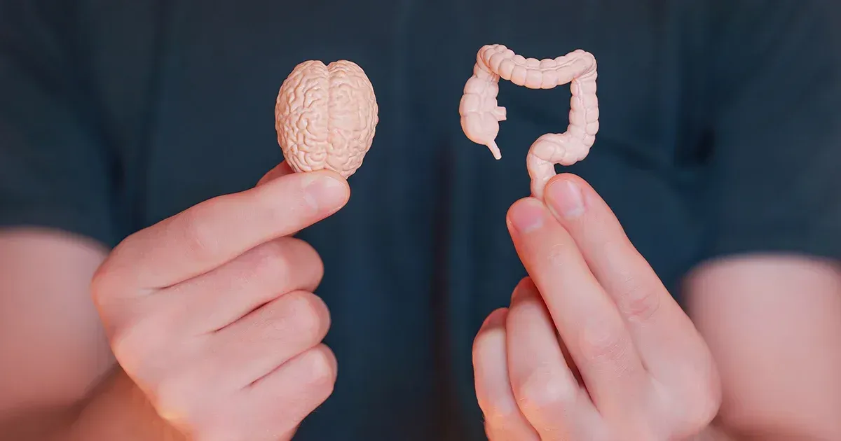 Estudo mostra o papel da saúde intestinal na regulação da saúde mental e dos transtornos alimentares