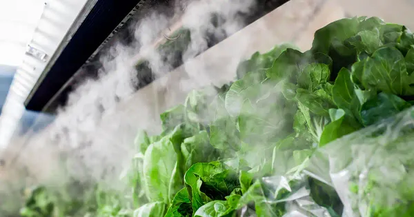 Alerta ao consumidor – seu mercado está misturando verduras frescas com produtos químicos?