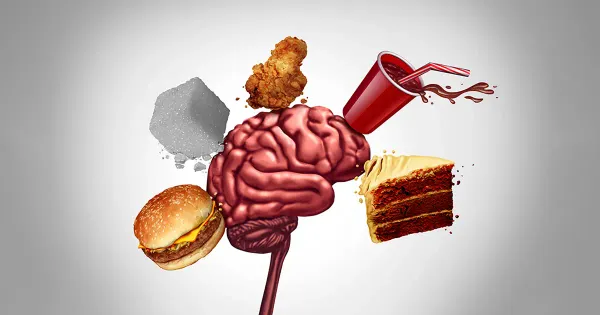 Dieta de junk food em adolescentes pode causar problemas de memória