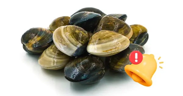 Você está comendo mariscos contaminados com esta toxina que causa paralisia?